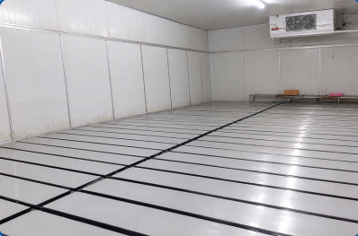Export and Logistics